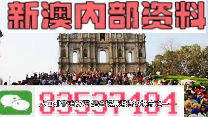 新澳门精准免费大全与7777788888精准免费4肖,精选解析、解释与落实