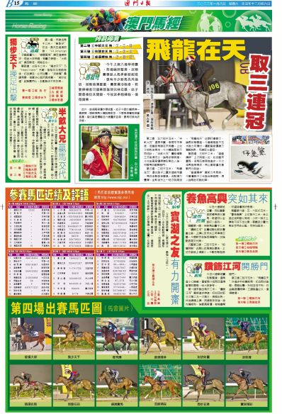 2025全年免费资料大全与2025澳门特马网站www全面释义、解释与落实