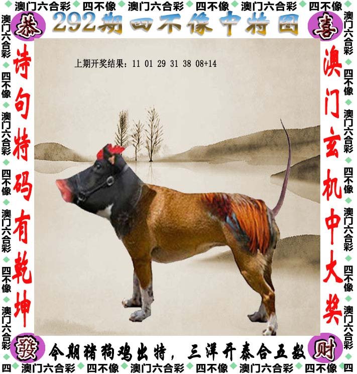 新澳2025精准正版資料与2025澳门精准正版免费四不像,精选解析、解释与落实