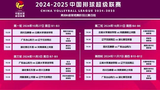 2025新澳门天天精准免费大全与新澳2025精准正版免费,全面释义、解释与落实与警惕虚假宣传