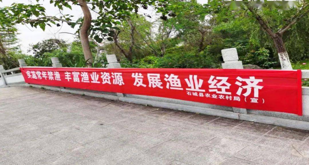 2025精准资料大全免费全面释义、解释与落实-警惕虚假宣传-全面释义、解释与落实